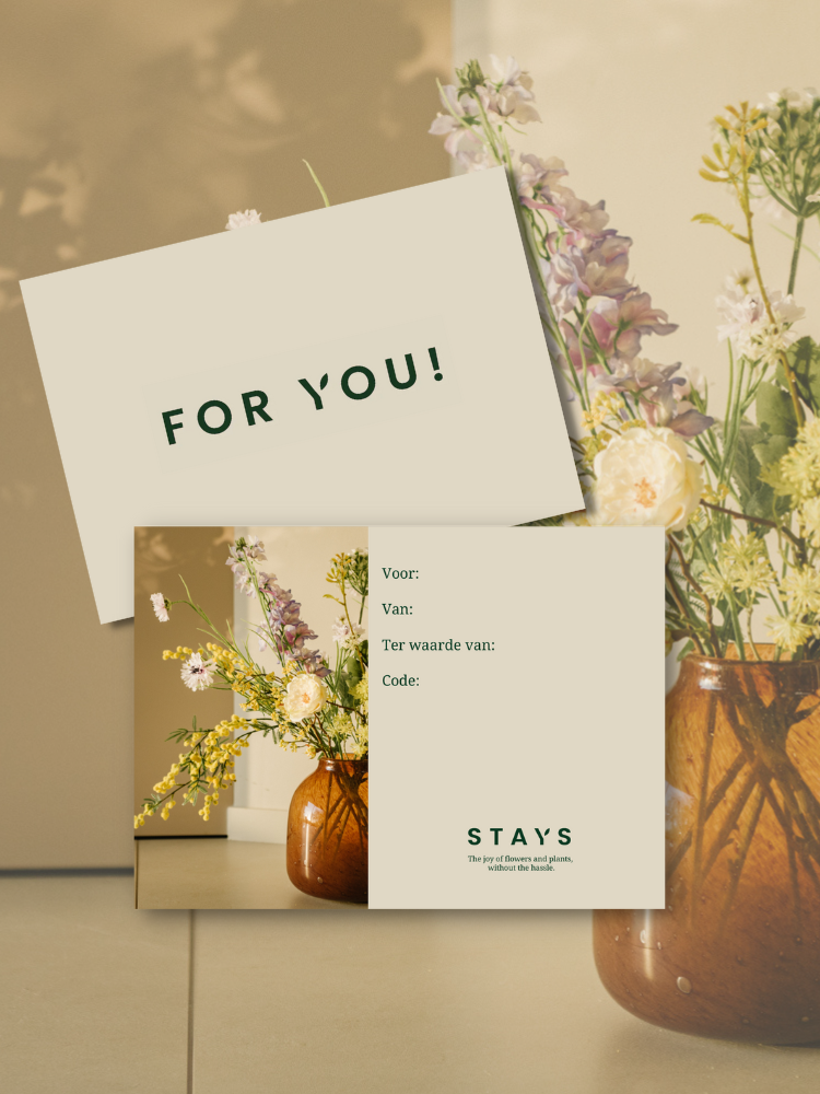Paper Giftcard