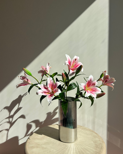 Timeless Lillies