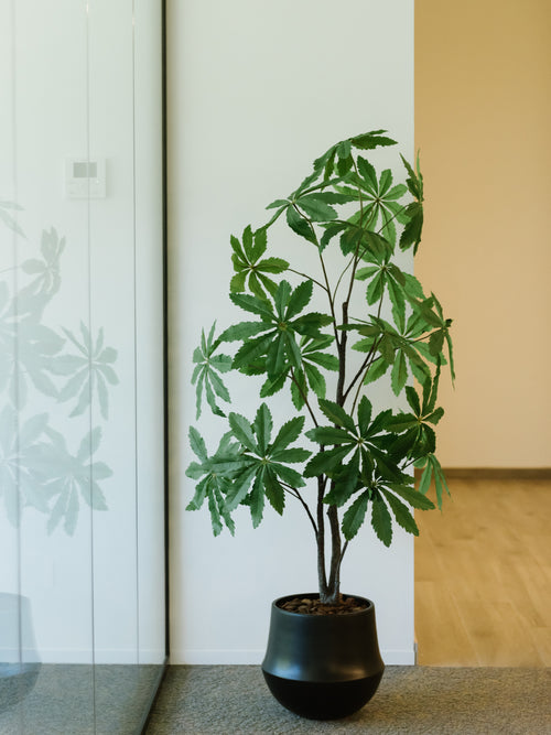 Artificial fake green plant in a pot for an office