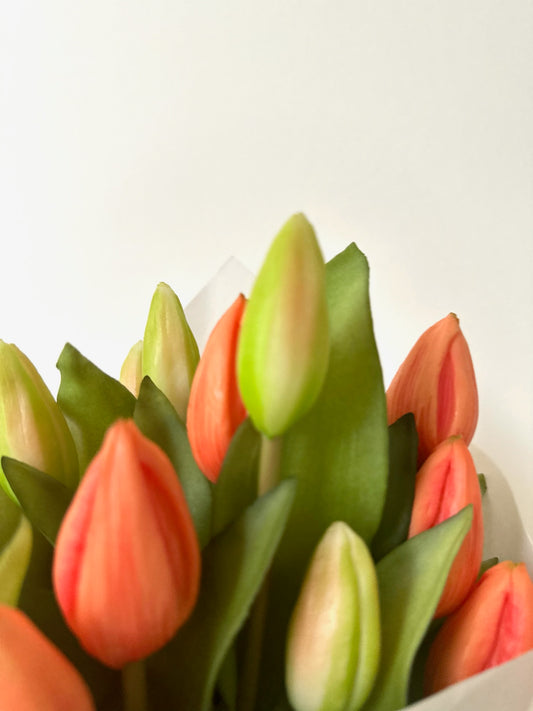 Tulpen Oranje