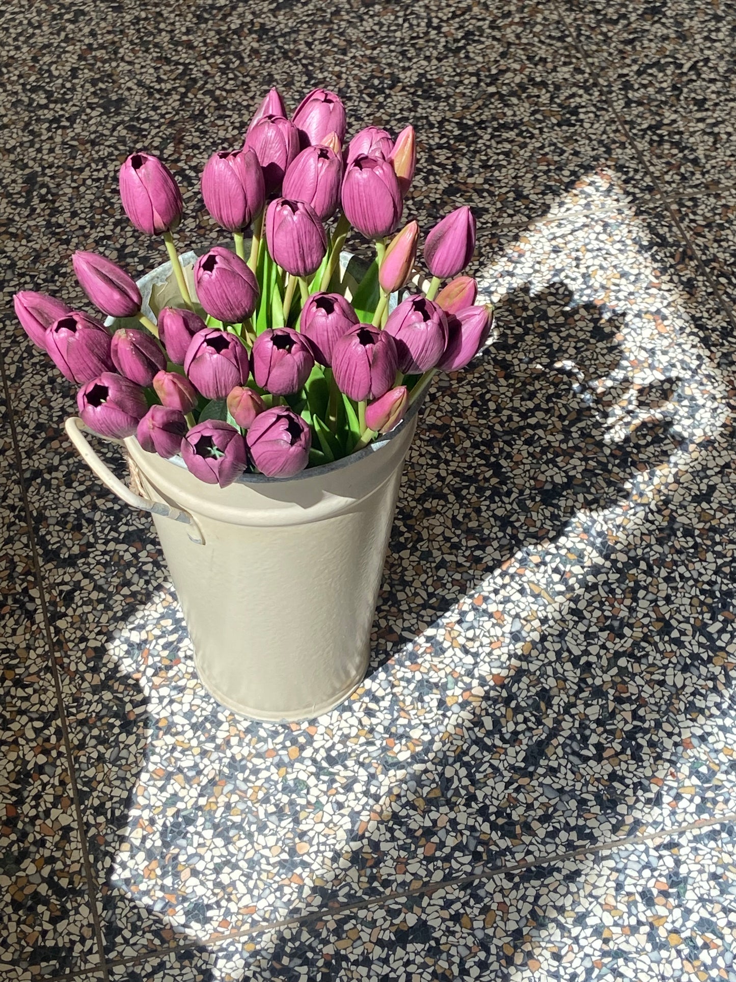 Bunch of Tulips