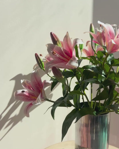 Timeless Lillies